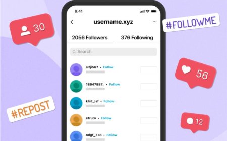 Strategic Approaches to Instagram Growth and Credibility