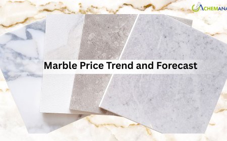 Marble Price Index Analysis 2026: Demand, Supply, and Market News Updates