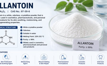Allantoin Industry Outlook 2026: Pricing Trends and Market Dynamics