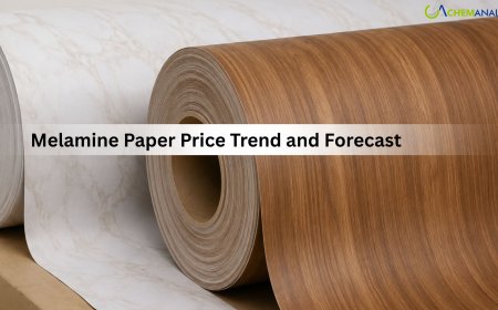 Melamine Paper Price Updates, Industry News, and Demand Forecast 2026