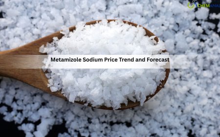 Metamizole Sodium Prices 2026: Latest News, Trends, and Forecast Analysis