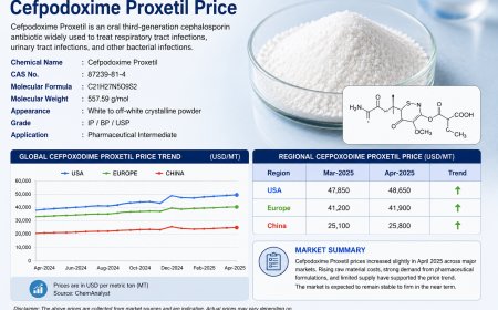 Cefpodoxime Proxetil Price Forecast Report 2026: Global Supply Chain and Demand Trends