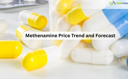 Methenamine Price Trend, Chart, Index, News, Demand and Forecast 2026