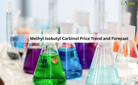 Methyl Isobutyl Carbinol Price Trend, Chart, Index, News, Demand and Forecast 2026