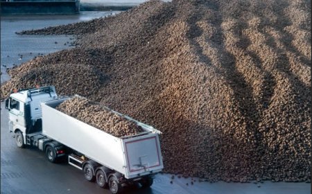 How to Estimate Weight Limits So You Do Not Overload a Dump Trailer
