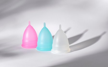 Disposable Cervical Dilators for Clinical Procedures