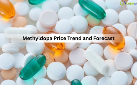 Methyldopa Price Trend Report 2026: Regional Market Insights and Forecasts