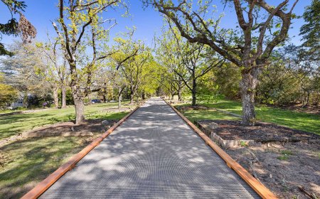 Concrete Landscaping: Transforming Outdoor Spaces with Durable Design Solutions