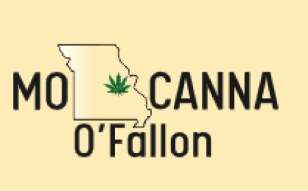 Family Owned Cannabis Shop in O’Fallon – Quality & Community Focused