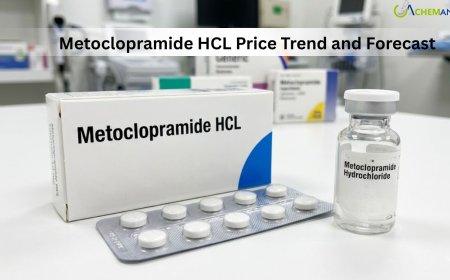 Metoclopramide HCL Price Trend, Chart, Index, Demand, News and Forecast 2026