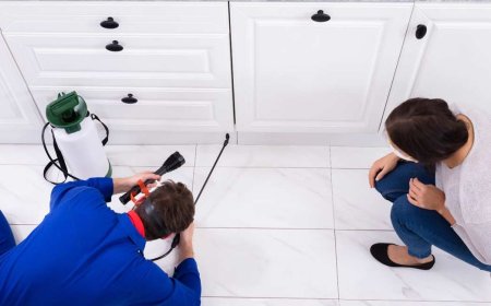 Stop Pests Before They Spread: Essential Rat Control Tips
