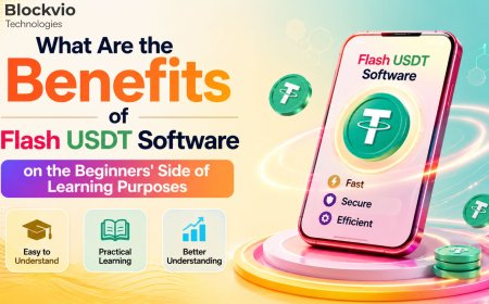 What Are the Benefits of Flash USDT Software on the Beginners' Side of Learning Purposes