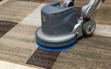 Carpet Cleaning Services Improve Carpet Condition Over Time