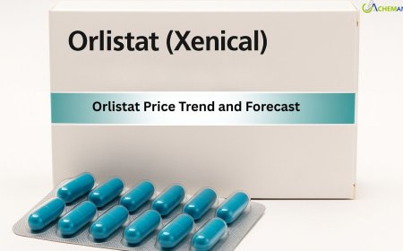 Orlistat Price Trend, Chart, Index, Demand, News and Forecast 2026