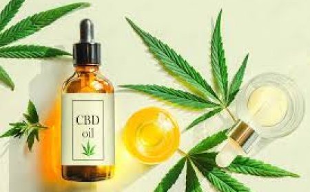 How CBD Edibles Support Recovery After Physical Activity