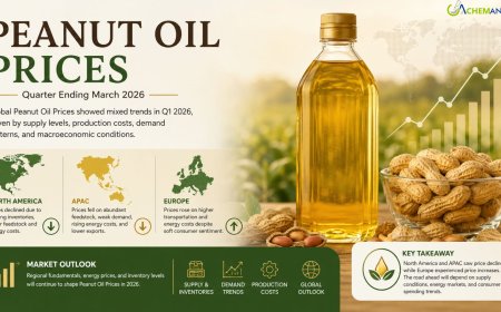 Peanut Oil Prices, Chart, Index, Demand, News, Index and Forecast 2026