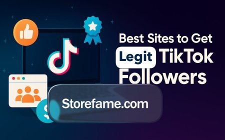 Complete TikTok Marketing Playbook: Accelerating Viral Growth and Building Profile Authority
