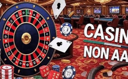 Migliori Casino Online Non AAMS in Italia 2026: Bonus Esclusivi e Piattaforme Affidabili