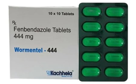 Wormentel 444: Discover Convenient Access to Trusted Treatment Options at Meds4go
