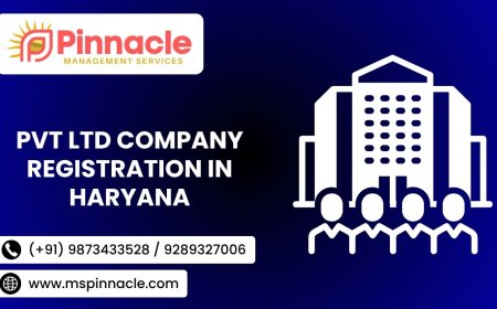 Pvt Ltd Company Registration in Haryana: Complete Guide for Business Owners