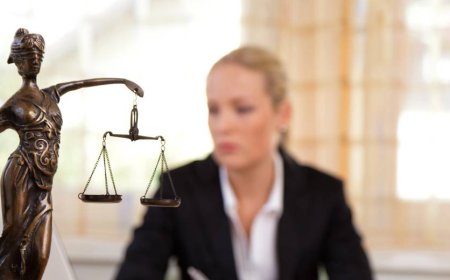 De beste informatie over Advocaat Huurrecht