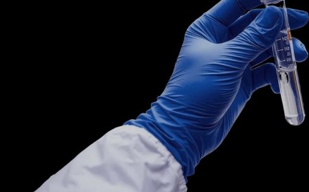 Best Assay Kits Supplier India: Powering Breakthrough Research Faster