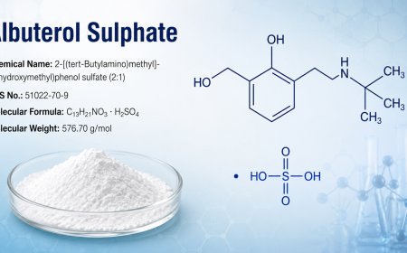 Albuterol Sulphate Price Trend and Forecast 2026: Global Market Analysis and Outlook