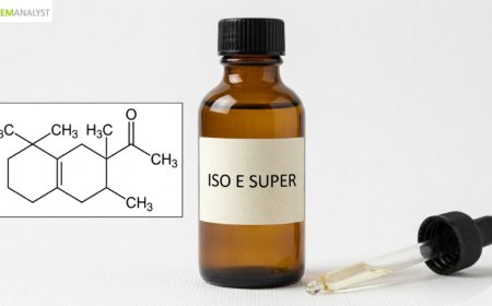 Iso E Super Price Trend and Forecast 2026: Global Market Analysis and Industry Outlook