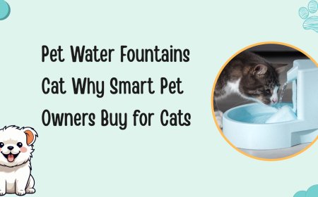 Pet Water Fountains Cat Why Smart Pet Owners Buy for Cats