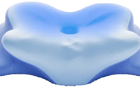https://www.facebook.com/DerilaErgoPillowPage/