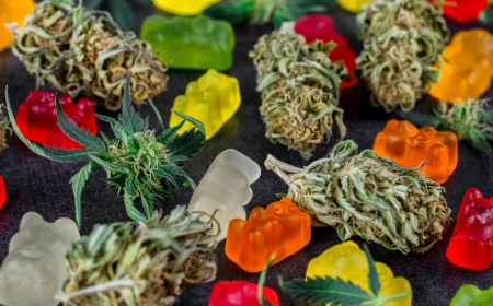 Why More Consumers Are Choosing Edibles Over Traditional Cannabis Products