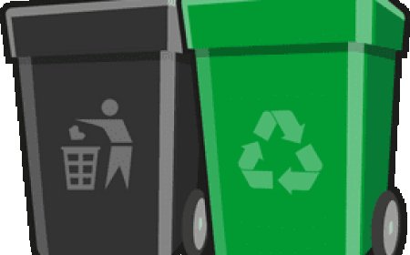Professional Bin Cleaning Service for a Cleaner Home