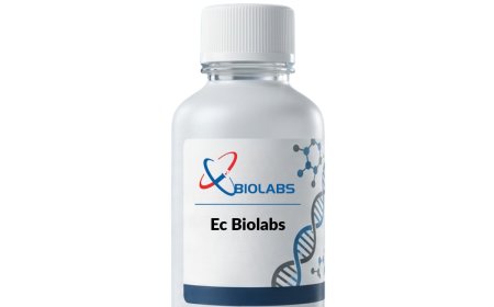 Recombinant Antibody Supplier India: Accelerate Research Success Before Opportunities Pass You By