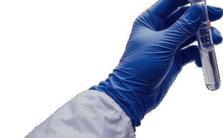 Biotech Products Supplier India: Accelerate Research Success with Trusted Solutions