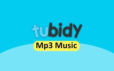 Tubidy MP3 & MP4 Download: Best Free Music Tool 2026