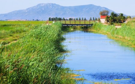 Pure Water. Healthier Livestock. Higher Performance: The Future of Farm Water Treatment in Alberta