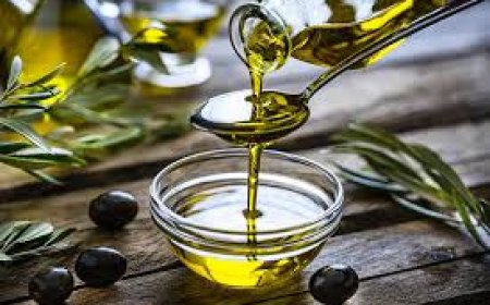 Premium Natural Olive Oil in Canada with Spice Guide