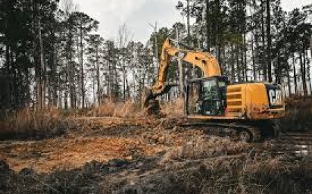 Professional Land Clearing Contractor in Wilmington NC