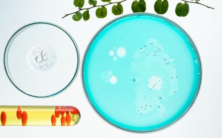 Neutral Glass Petri Dish with Lida Lab Use Guide