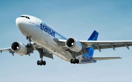 Your Complete Guide to United Airlines Houston Airport Office and United Airlines Denver Office Contact Information