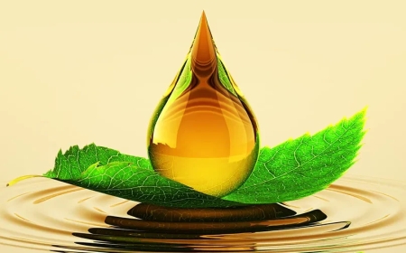 Biodegradable Engine Oil Market Analysis Highlights Emerging Growth Opportunities