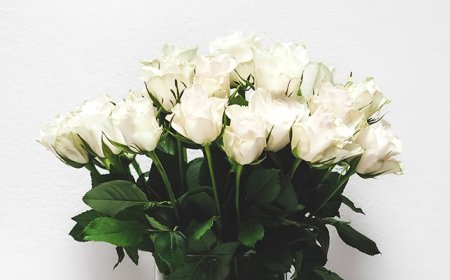 White Flowers for Funeral: A Gentle Way to Say Goodbye