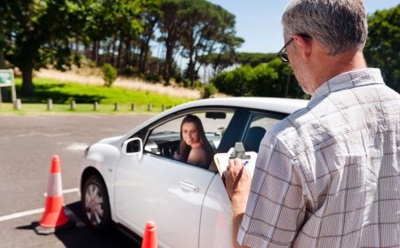 Professional Driving Schools: Your Path to Safe and Confident Driving