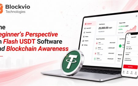 The Beginner's Perspective on Flash USDT Software and Blockchain Awareness