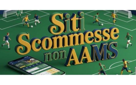 Evoluzione e Performance nei Portali di Intrattenimento Digitale