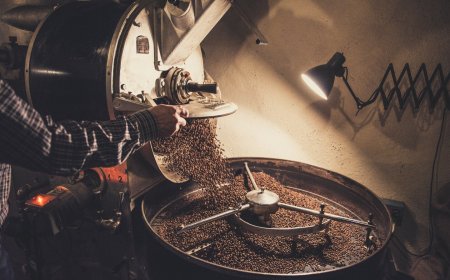 The Rise of the Coffee Roasting Machine: Transforming Beans Into Liquid Gold