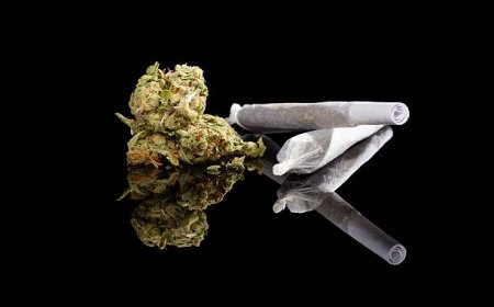 Your trusted source for quality cannabis products