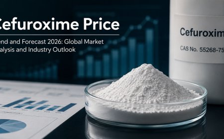 Cefuroxime Price Trend and Forecast 2026: Global Market Analysis and Industry Outlook. 