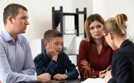 Why Hire a Family Sponsorship Lawyer for Immigration Cases