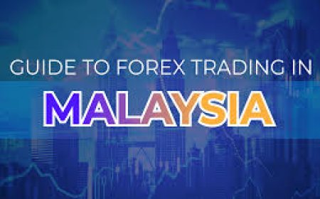 A Complete Guide to Forex Brokers in Malaysia for New Traders